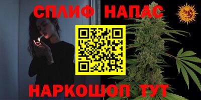 гидропоника Краснознаменск